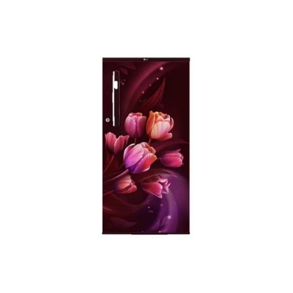 LG REF GL-B199OSTB