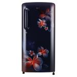 LG REF GL-B201APBD