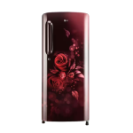 LG REF GL-B201ASFD