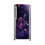 LG REF GL-B211HBWD