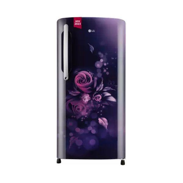 LG REF GL-B211HBWD