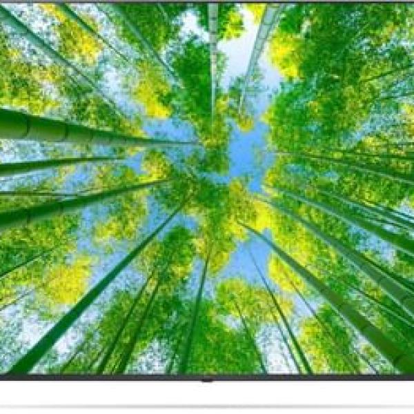 LG 55"TV 55UQ8040PSB