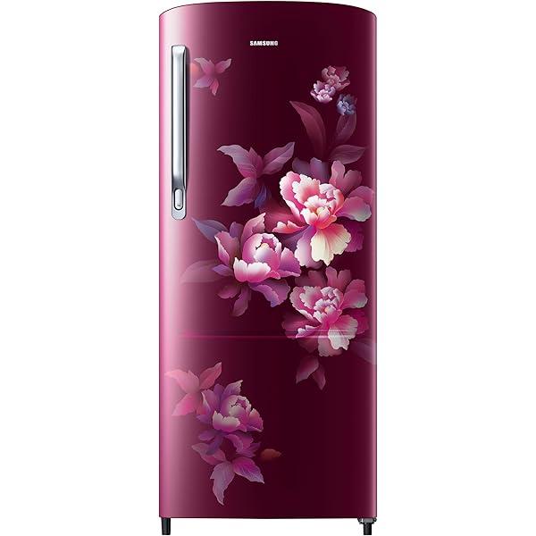 SAMSUNG REF RR20C1712R8