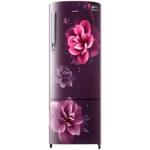 SAMSUNG REF RR20C1723CR/HL
