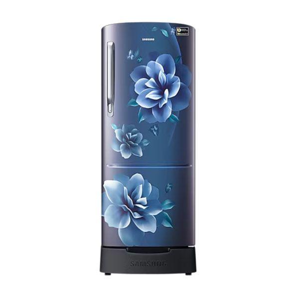 SAMSUNG REF-RR20D2825CU