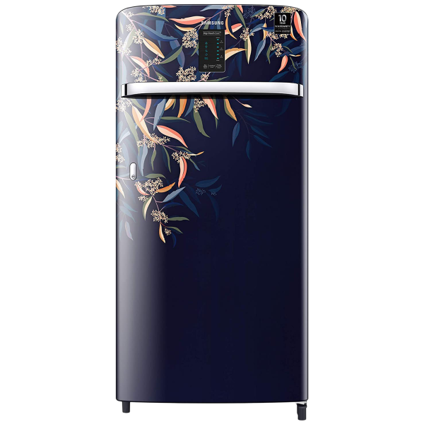 SAMSUNG REF RR21A2E2YTG