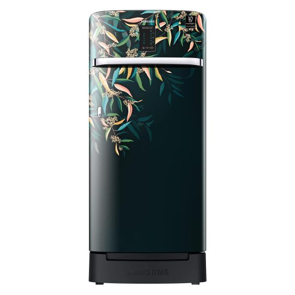 SAMSUNG REF RR21A2F2YTU