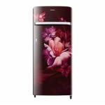 SAMSUNG REF RR21C2G25RZ