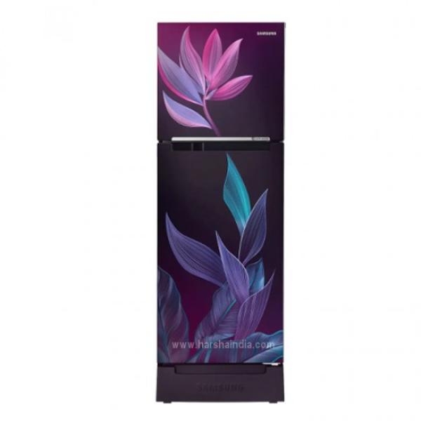 SAMSUNG REF-RT28C31429R