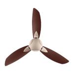 USHA BLOOM PRIMROSE C/FAN