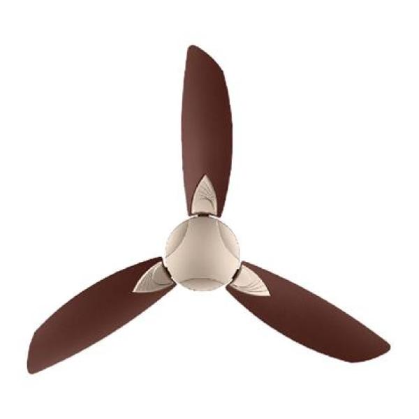 USHA BLOOM PRIMROSE C/FAN
