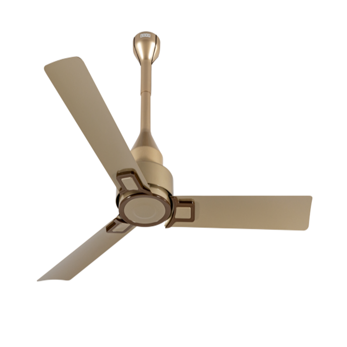 USHA PHI PLUS C/FAN