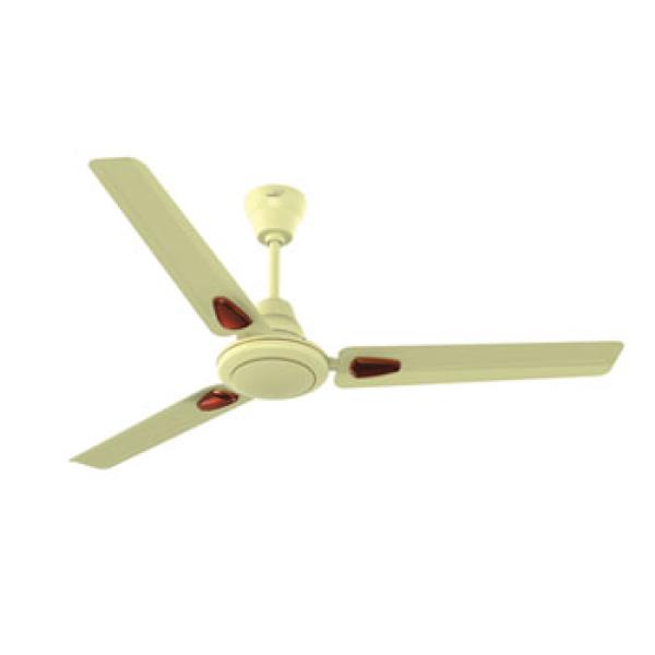 V GUARD HAIZE DX C/FAN