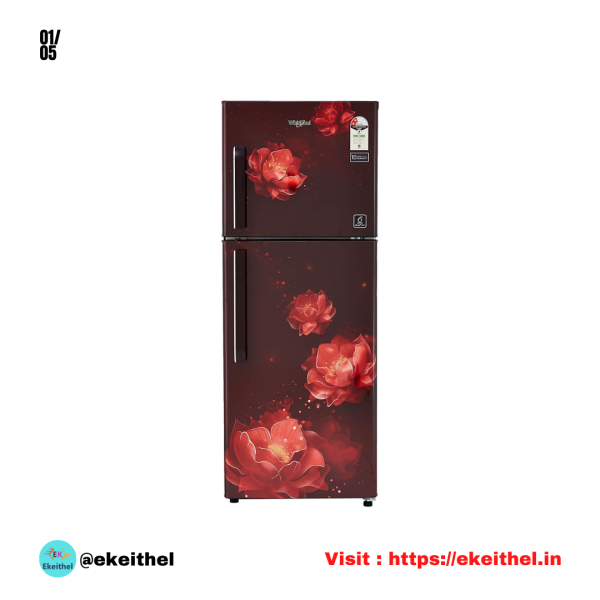 Whirlpool REF 22134 WPL FF NEO 278LH PRM WINE PALM(2S)-TL